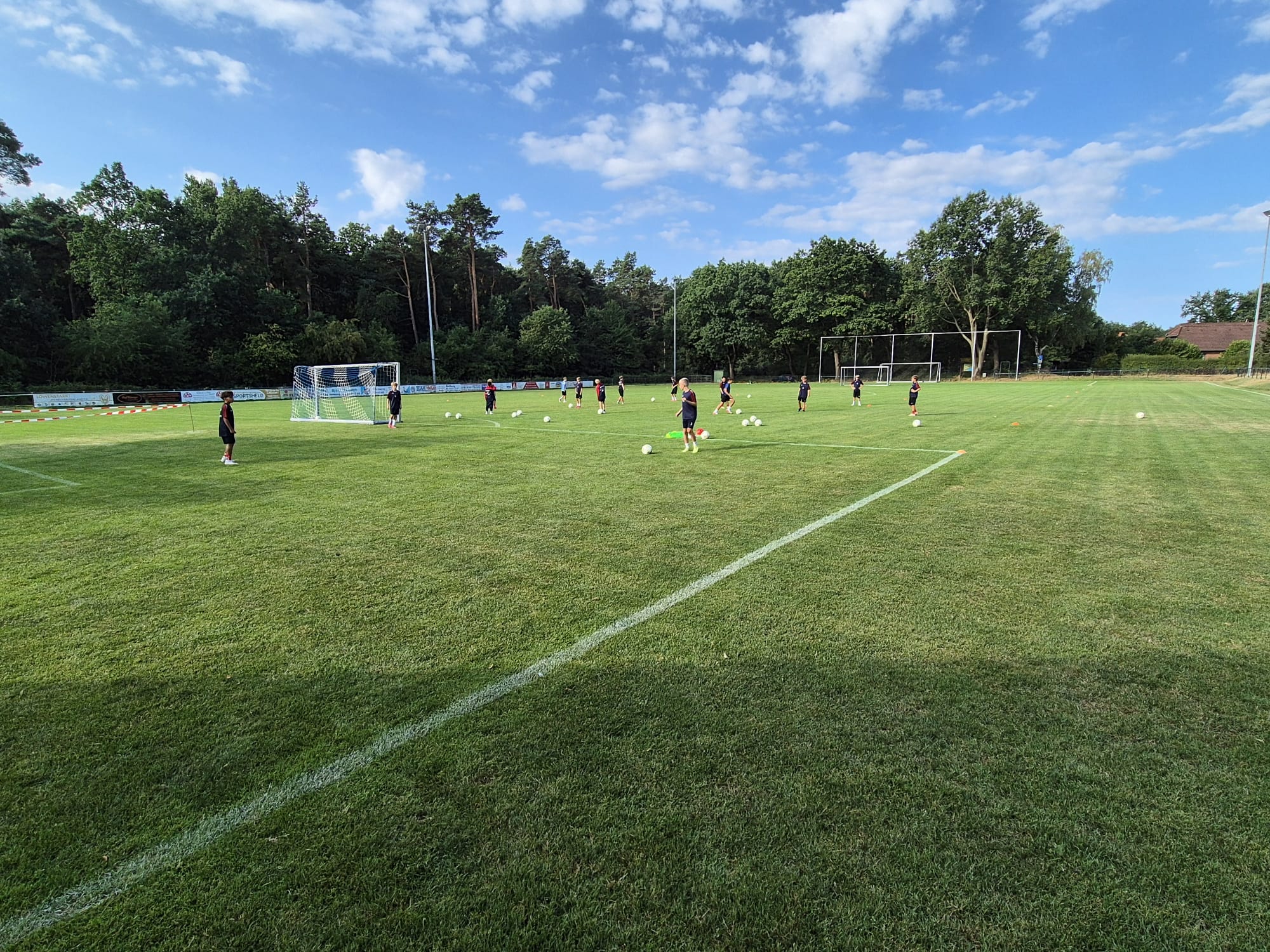 D-Jugend-Mardorf (5)