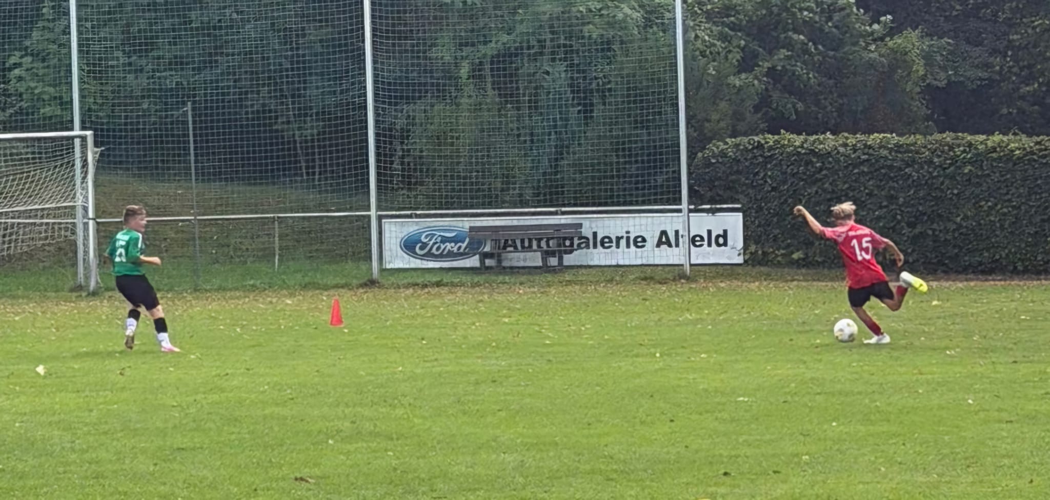 D1-4-1 Sieg-2